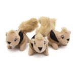 Hide-A-Squirrel Replacement Squeak Toy Dog