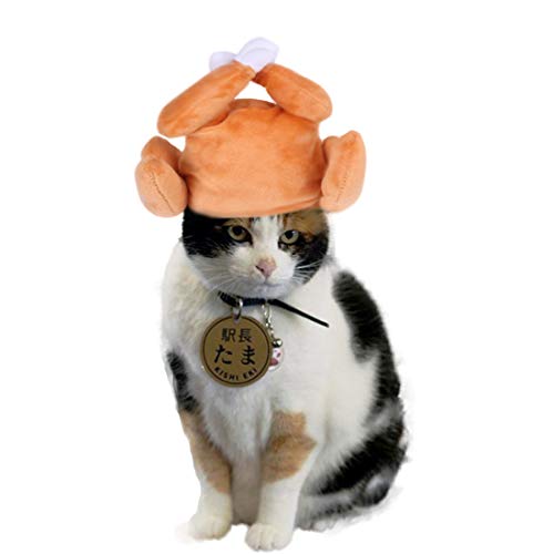 Cat Halloween Thanksgiving Costume Turkey Drumstick