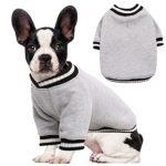 Dog Winter Coat Cold Weather Outfit