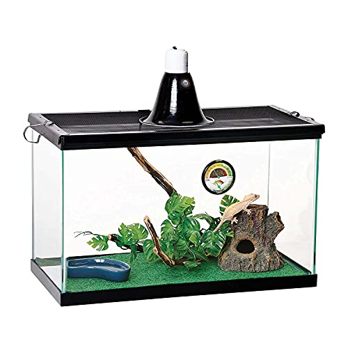 Reptile Starter Kit 10 with Light and Heat