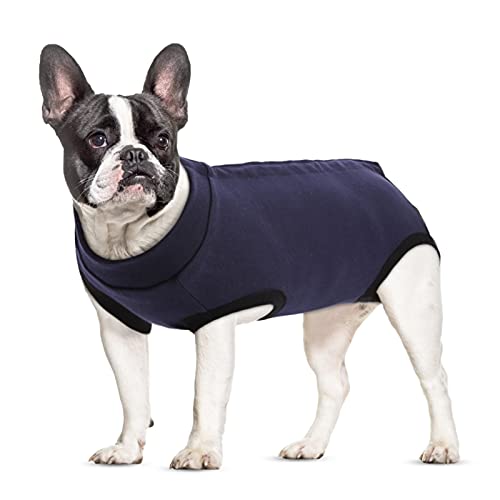 Recovery Suit for Dogs & Cats