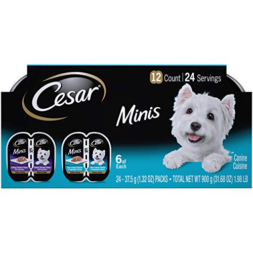 CESAR Minis Wet Dog Food Filets in Gravy Variety Pack