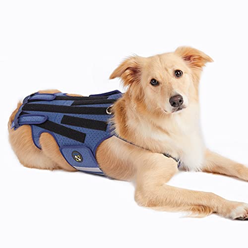 Coodeo Dog Back Brace for Dogs Arthritis