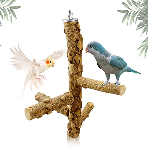 Natural Wooden Bird Perch Stand - Durable and Fun