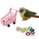 Parrots Tabletop Interactive Toys Pack