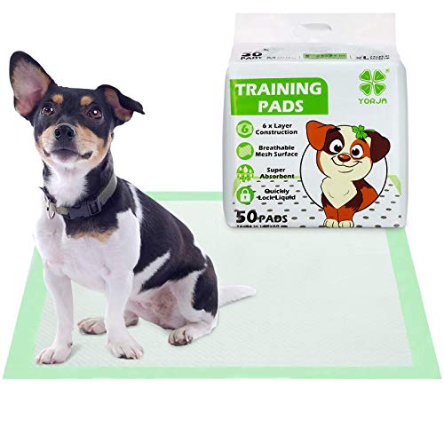 Super Absorbent Puppy Training Pads