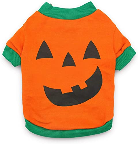 Small Dog Halloween Shirt Pumpkin