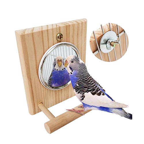 Hamiledyi Bird Mirror with Wooden Perch