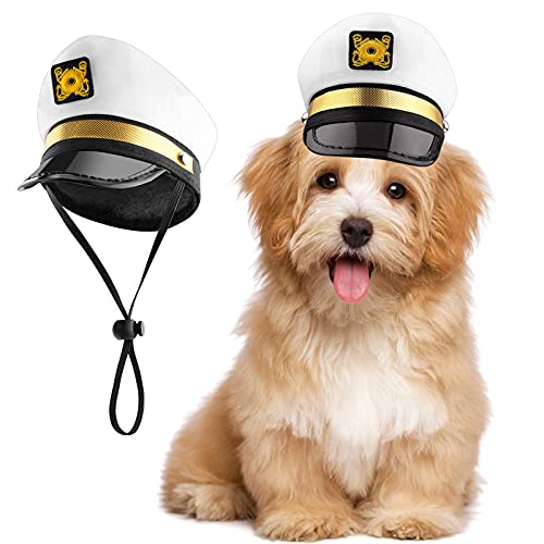 Captain Hat Dog Cat Sailors