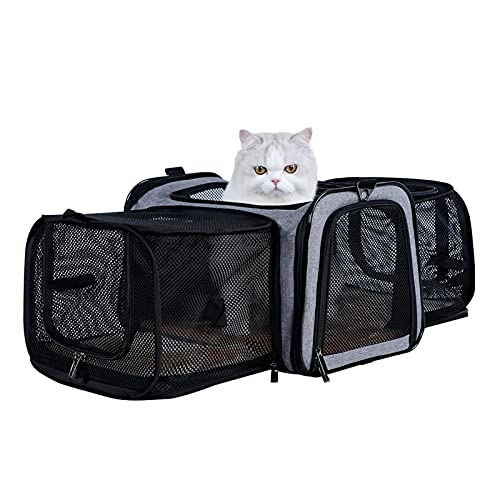 Petsfit Most Airline Approved Solid Expandable Soft-Sided Carrier