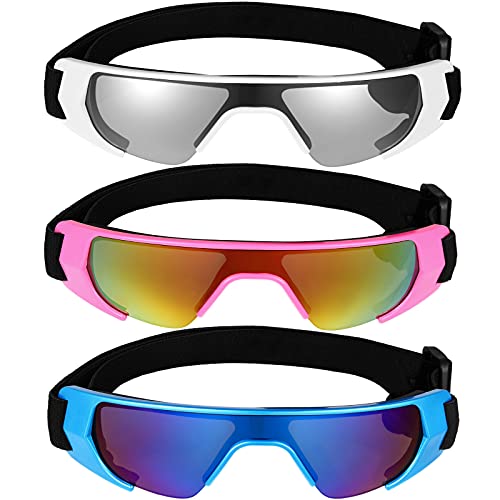 Pet Sunglasses Eye Protection Windproof