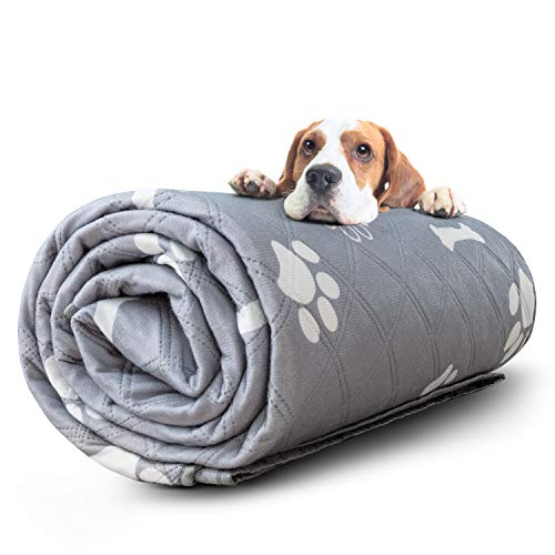 Extra Large Washable Pet Pee Pad for Dogs