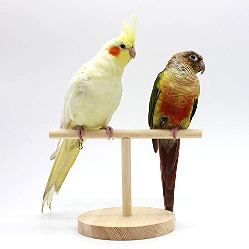 QBLEEV Bird Perch Parrot Wooden Stand