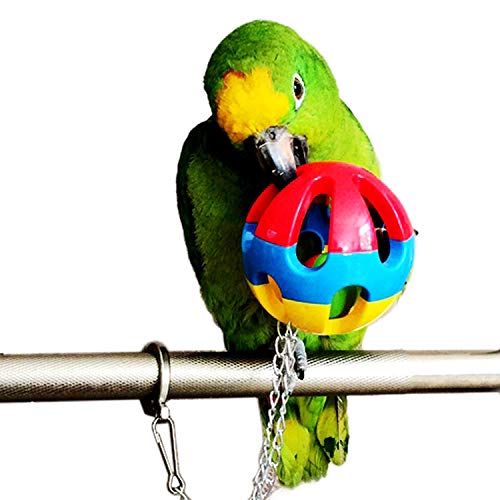 Bird Hanging Ball with Bell Colorful Chewing Treat Toy