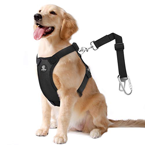 VavoPaw Dog Vehicle Safety Vest Harness