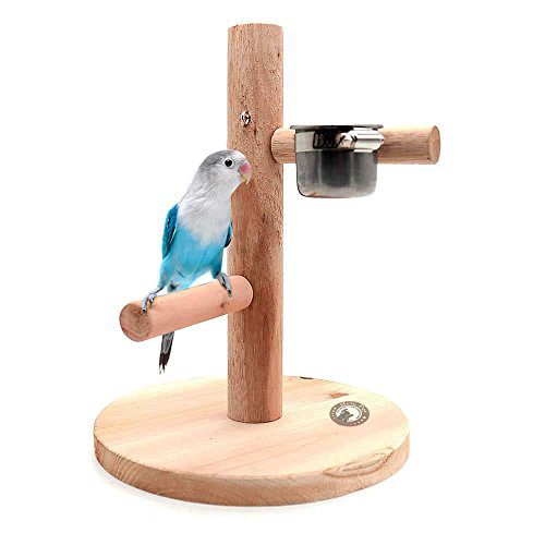 Pet Bird Training Perches Stands Parrot