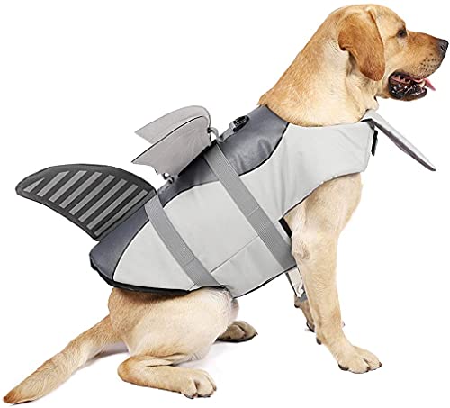 Dog Lifejackets for Boating in Summer