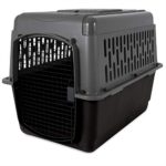 Petmate Aspen Pet Porter Travel Kennel