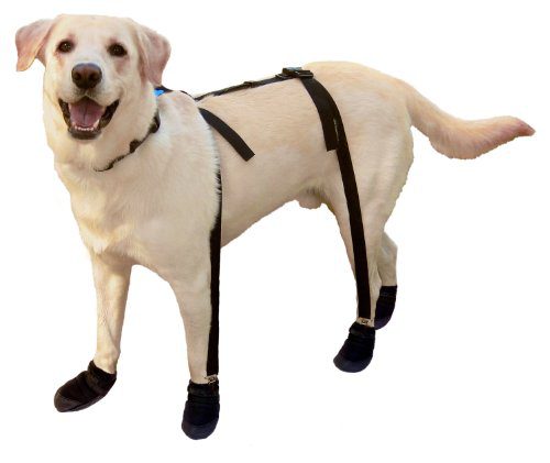 Canine Footwear Suspenders Snuggy Boots for Dog