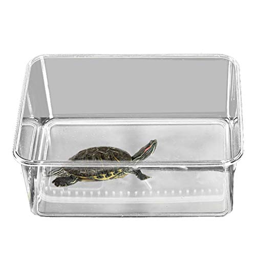 kathson Acrylic Reptile Terrarium Feeding Box