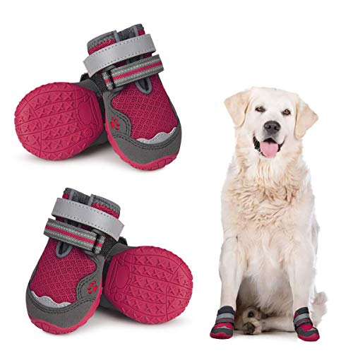 Breathable Dog Booties for Hot Pavement Dog Boots