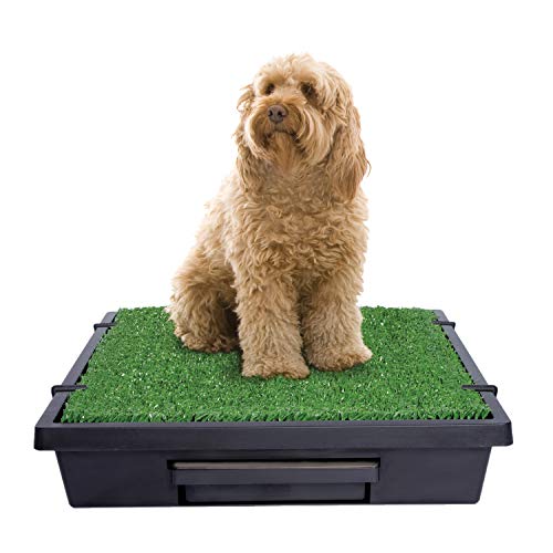 PetSafe Portable Potty for Dogs: The Pet Loo