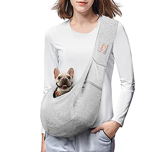 Small Dogs Dog Carrier