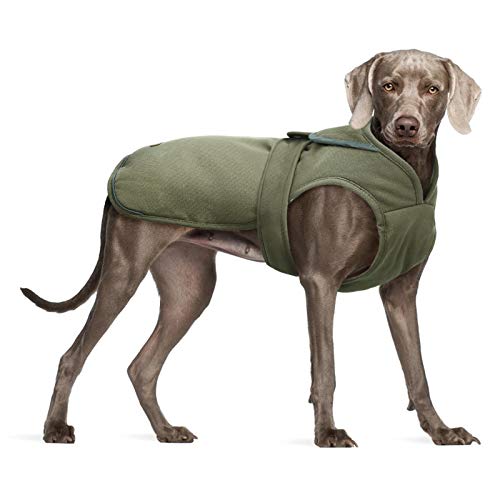 Jacket Cold Weather Dog Coat for Winter Best ⋆ PetSep.com