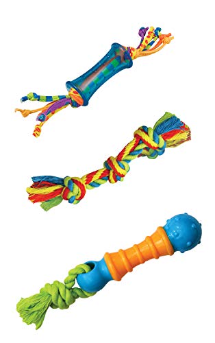 Dental Teeth Cleaning Chew Toys for Small Dogs