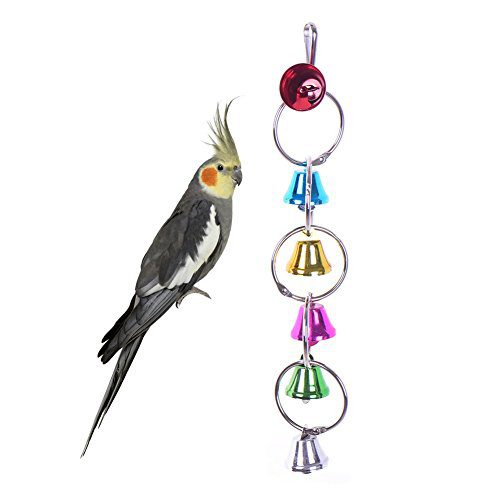 Hypeety Parrot Chew Toys Swing Colorful Bells
