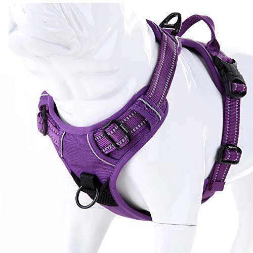 Reflective No Pull Harness with Handle