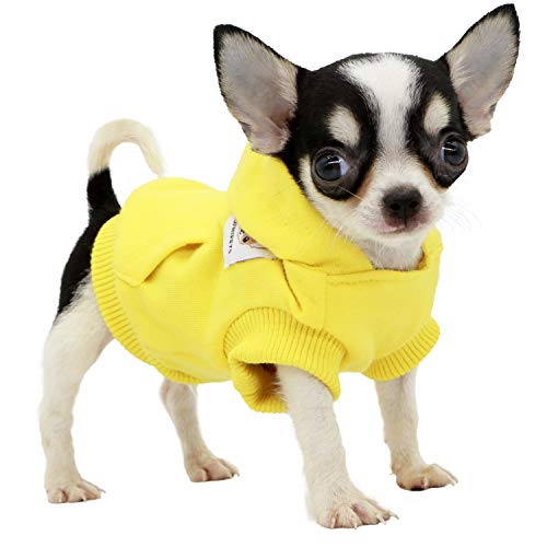 Chihuahua Dog Cotton Hoodies Sweatshirts