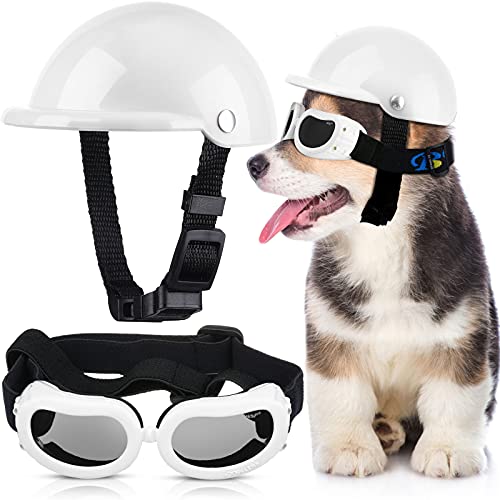 Dog Helmet and Dog Goggles Set