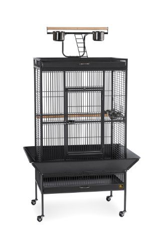 Prevue Hendryx Signature Select Series Wrought Iron Bird Cage