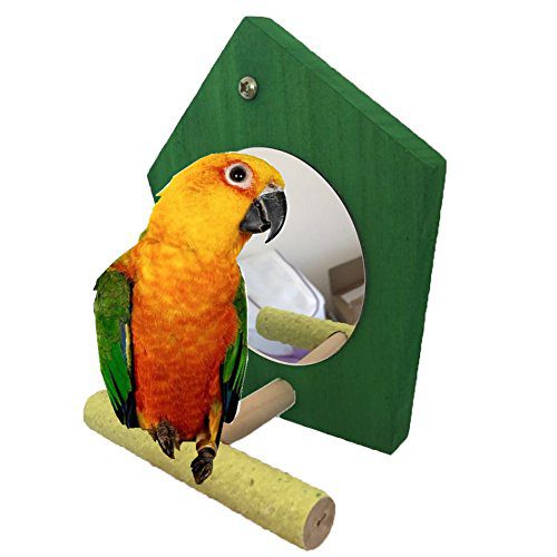 Bird Parrot Mirror Toy with Perch Parrot