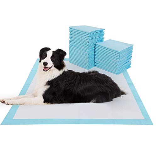 40-Count Extra Large Pet Training and Pee Pads