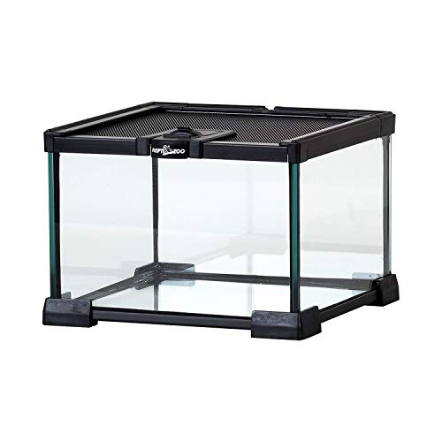 REPTI ZOO Mini Reptile Glass Terrarium Tank