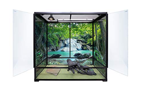 Extra-Tall Large Custom Cages Terrarium