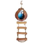 Meric Bird House with Ladder, 5” Diameter