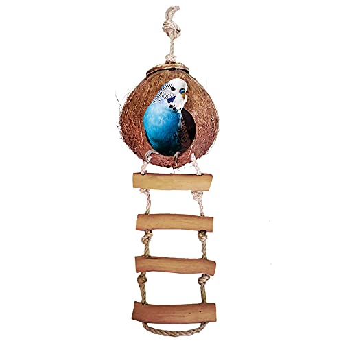 Meric Bird House with Ladder, 5” Diameter