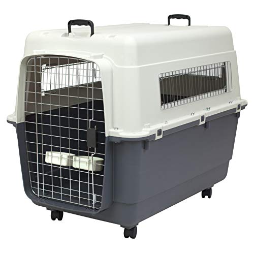 SportPet Designs Plastic Kennels Rolling