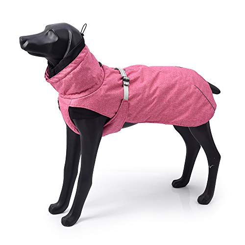 Cold Weather Dog Outdoor Waterproof Jacket