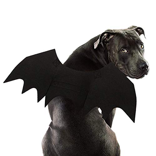 Halloween Pet Costume Bat Wings Cosplay Dog Costume