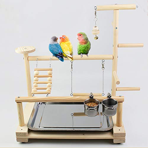 Bird Playground for Conures Cockatiel Parakeets Play Stand