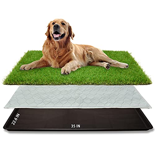 Dog Grass Large Potty Patch (35"X22.6")