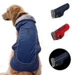 Dog Winter Coat for Cold Weather British Style