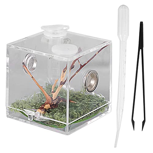 STOBOK 1Pc Reptile Terrarium Tank