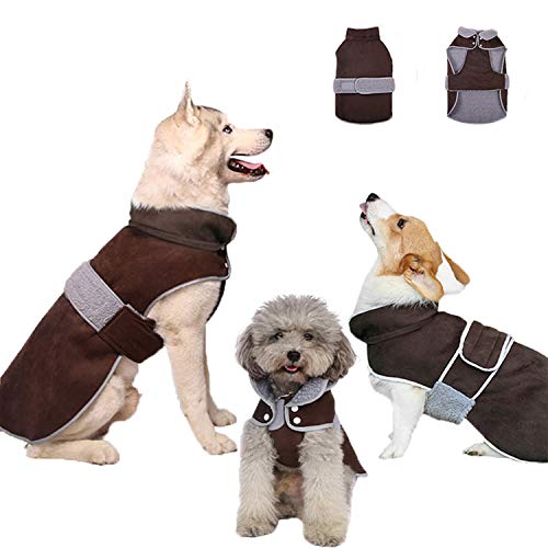 Winter Dog Coat with a Detachable Hood