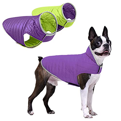 Queenmore Cold Weather Dog Jacket