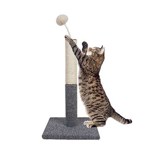 Dimaka Cat Scratching Post with Spring Teasing Ball